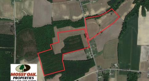 Photo of UNDER CONTRACT!  61.43 Acres of Farm and Timber Land For Sale in Wilson County NC!