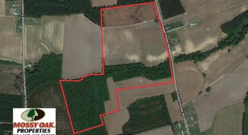 Photo of UNDER CONTRACT!  61.43 Acres of Farm and Timber Land For Sale in Wilson County NC!