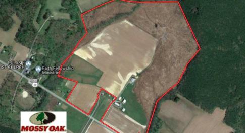 Photo of UNDER CONTRACT!  118 Acres of Farm and Timber Land For Sale in Suffolk VA!
