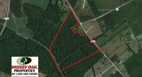 Photo of UNDER CONTRACT!  47 Acres of Timber and Hunting Land For Sale in Pitt County NC!