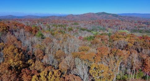 Photo of UNDER CONTRACT!  20.18 Acres of Hunting and Timber Land For Sale in Cherokee County NC!