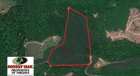 Photo of UNDER CONTRACT!  40 Acres of Recreational and Residential Land for Sale in Botetourt County VA!