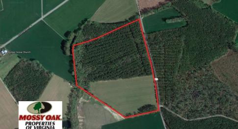 Photo of UNDER CONTRACT!  42.6 Acres of Timber and Farm Land For Sale in Sussex County VA!