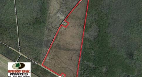 Photo of UNDER CONTRACT!   74.4 acres of Hunting and Timber Land for Sale in Dare County NC!