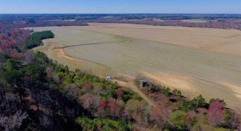 Photo of SOLD!!  81.75 Acres of Farm and Timber Land For Sale in Wilson County NC!