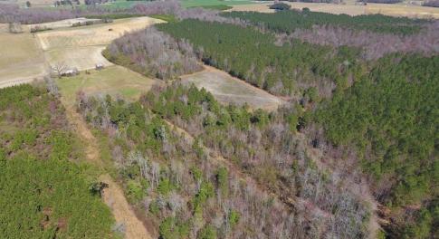 Photo of SOLD!  43 Acres of Farm and Timber Land For Sale in Wilson County NC!