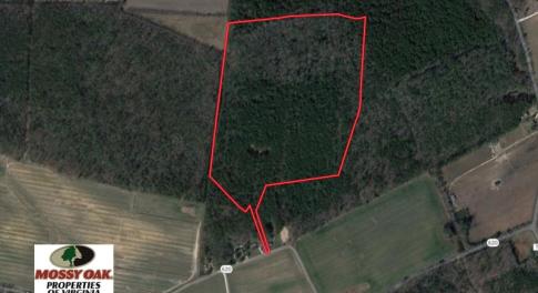 Photo of UNDER CONTRACT!  42 Acres of Hunting and Timber Land For Sale in Accomack County VA!