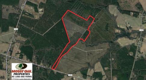 Photo of SOLD!!  111 Acres of Hunting and Timber Land For Sale in Craven County NC!