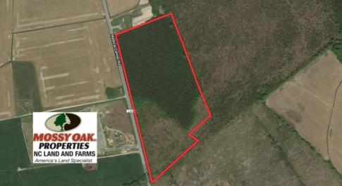 Photo of UNDER CONTRACT!  16.6 Acres of Hunting and Timber Land for Sale in Gates County NC!
