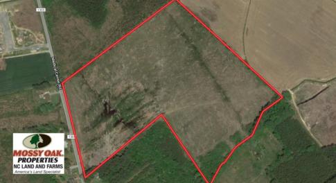 Photo of UNDER CONTRACT!  39 Acres of Hunting and Timber Land for Sale in Gates County NC!