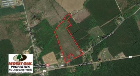 Photo of UNDER CONTRACT!  23.35 Acres of Hunting and Timber Land for Sale in Gates County NC!