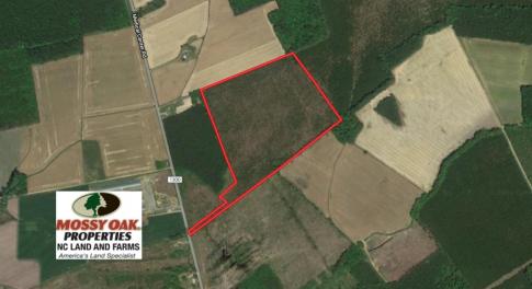 Photo of UNDER CONTRACT!  33.8 Acres of Hunting and Timber Land For Sale in Gates County NC!