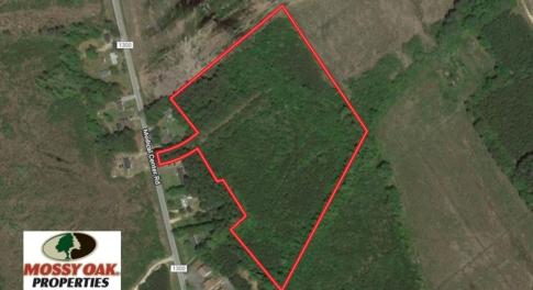 Photo of UNDER CONTRACT!  14 acres of Hunting and Timber Land for Sale in Gates County NC!