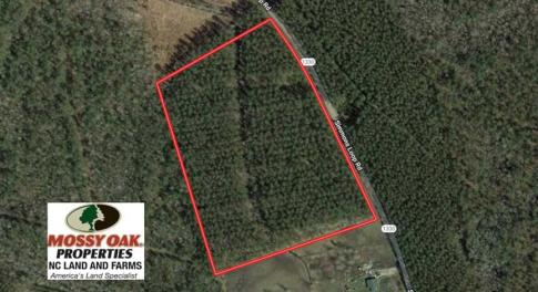 Photo of SOLD!!  20.4 Acres of Hunting and Timber Land For Sale in Jones County NC!