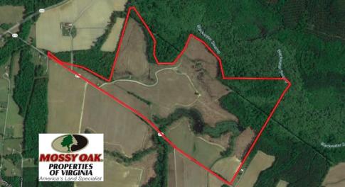 Photo of UNDER CONTRACT!  170 Acres of Farm and Hunting Land with Pond For Sale in Prince George County VA!