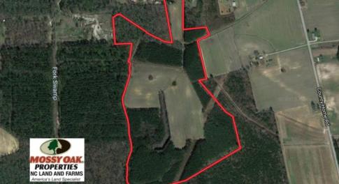 Photo of SOLD!  80 Acres of Farm and Timber Land for Sale in Pitt County NC!