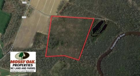 Photo of UNDER CONTRACT!  37 Acres of PRIME Bear Hunting Land For Sale in Tyrrell County NC!