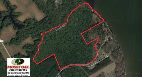 Photo of SOLD!  81.5 Acres of Waterfront Property For Sale in Blount's Creek Beaufort County NC!