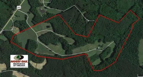 Photo of REDUCED!  144 Acres of Hunting and Farm Land For Sale in Halifax County VA!