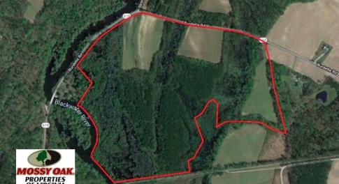 Photo of SOLD!  127 Acres of Farm and Hunting Land on the Blackwater River For Sale in Isle of Wight County Virginia!