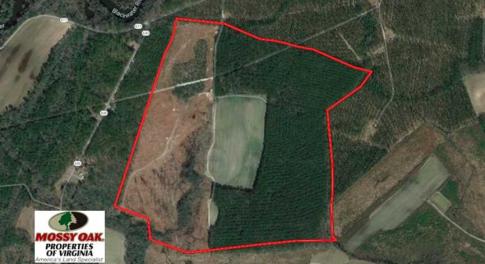 Photo of SOLD!!  222 Acres of Farm and Hunting Land For Sale in Isle of Wight County VA!