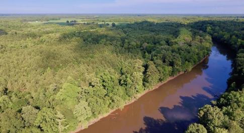 Photo of SOLD!  39.74 Acres of Tar River Hunting and Recreational Land in Edgecombe County NC!