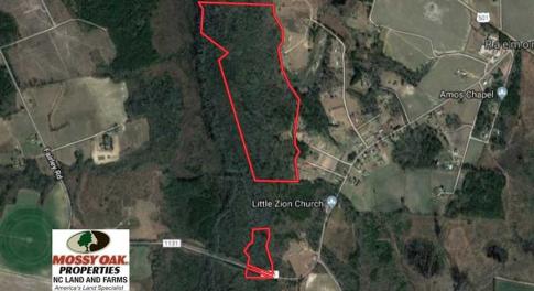 Photo of SOLD!!  115 Acres of Hunting Land For Sale in Robeson County NC!