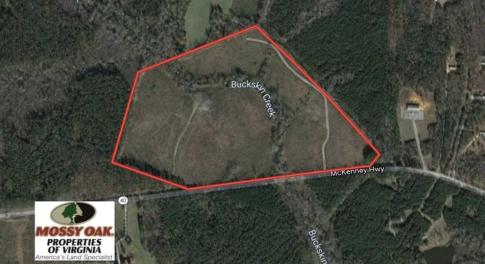 Photo of SOLD!!  66 Acres of Hunting Land for Sale in Dinwiddie County VA!