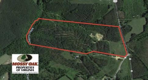 Photo of SOLD!!  54 Acres of Hunting Land for Sale in Halifax County VA!