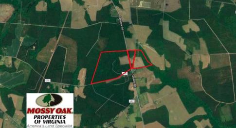 Photo of SOLD!  224 Acres of Timber and Farm Land in Suffolk County VA!