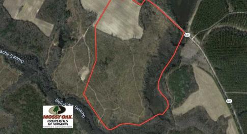 Photo of SOLD!  70 Acres of Hunting Land for Sale in Southampton County, VA