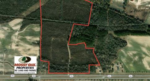 Photo of 93 Acres of Commercial Development and Hunting Land For Sale in Pitt County NC!