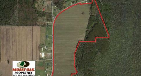 Photo of SOLD!!  52 Acres of Farm and Hunting Land For Sale in Tyrrell County NC!