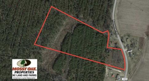 Photo of SOLD!! 13.7 Acres of Hunting and Timber Land For Sale in Gates County NC!