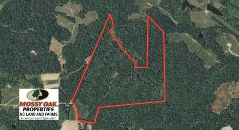 Photo of SOLD!!  81.9 Acres of Hunting and Timber Land for Sale in Caswell County NC!