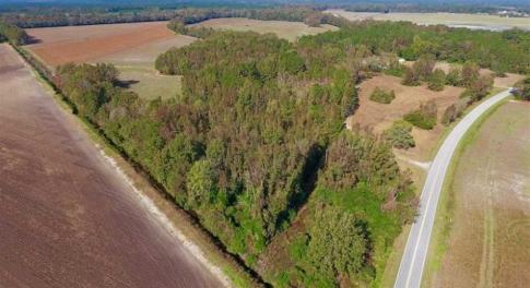 Photo of SOLD!!  164.75 Acres of Farm and Timber Land For Sale in Craven County NC!