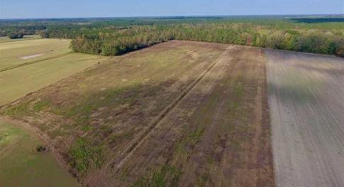 Photo of UNDER CONTRACT!!  43.57 Acres of Farm and Timber Land For Sale in Craven County NC!