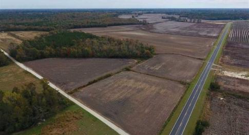 Photo of UNDER CONTRACT!!  90.1 Acres of Farm and Timber Land For Sale in Craven County NC!