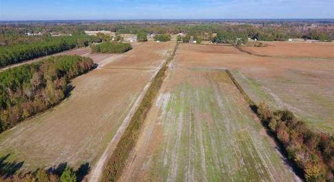 Photo of SOLD!!  20.68 Acres of Farm and Hunting Land For Sale in Craven County NC!