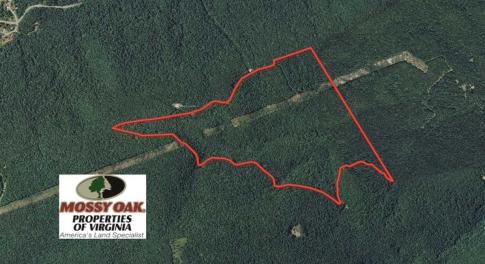 Photo of UNDER CONTRACT!!  208 Acres of Hunting and Recreational Land For Sale in Bland County VA!