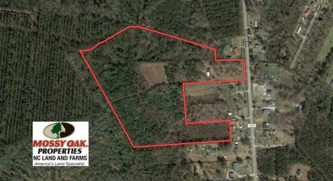 Photo of SOLD!!  27 Acres of Hunting and Timber Land For Sale in Lenoir County NC!
