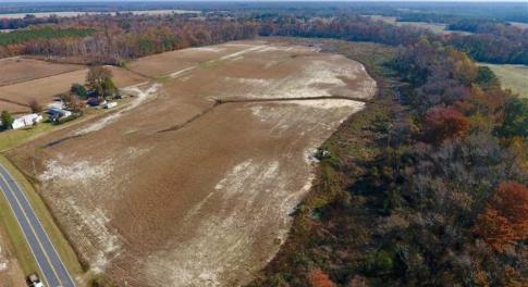 Photo of SOLD!!  33.62 Acres of Farm and Hunting Land For Sale in Craven County NC!