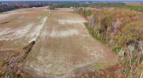 Photo of SOLD!!  17.98 Acres of Farm and Hunting Land For Sale in Craven County NC!