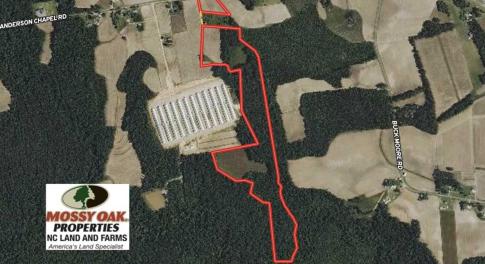 Photo of SOLD!!  44 Acres of Farm and Timber Land For Sale in Pitt County NC!