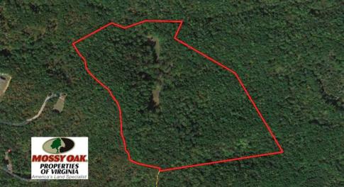 Photo of UNDER CONTRACT!!  68 Acres of Hunting and Recreational Land For Sale in Botetourt Co VA!