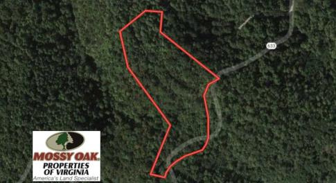 Photo of SOLD!!  6 Acres of Hunting and Residential Land For Sale in Franklin County VA!