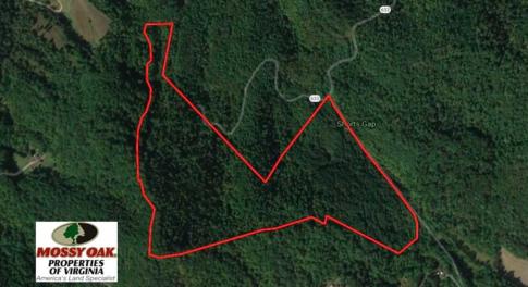 Photo of SOLD!!  81 Acres of Hunting and Recreational Land For Sale in Franklin County VA!