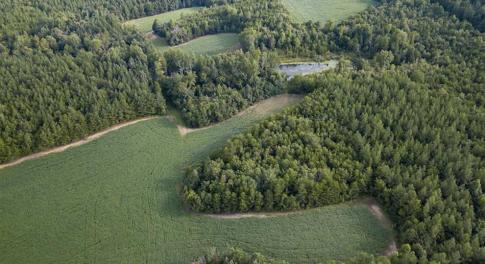 Photo of SOLD!!  79.32 Acres of Farm and Hunting Land For Sale in Person County NC!