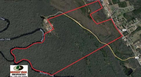 Photo of SOLD!!  166 Acres of Waterfront Hunting Land For Sale in Gates County NC!