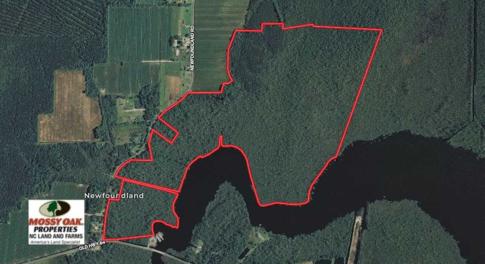 Photo of SOLD!!  220 Acres of Hunting Land for Sale in Tyrrell County NC!